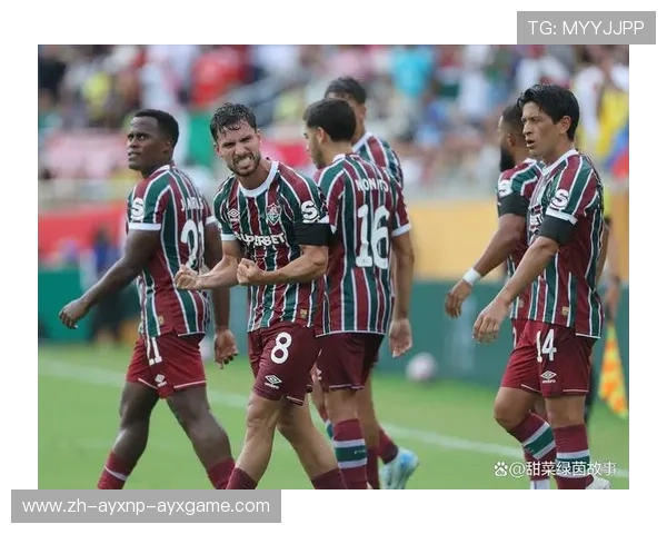 直播巴西甲联赛与西甲的体育赛事对比分析